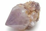 Cactus Quartz (Amethyst) Crystal - South Africa #220019-1